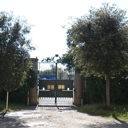 Villa Anselmi - Arteindiretta Ліворно Екстер'єр фото
